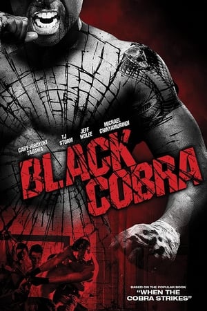 Black Cobra (2012) Hindi Dual Audio [830MB] HD Poster Download - filmyfly