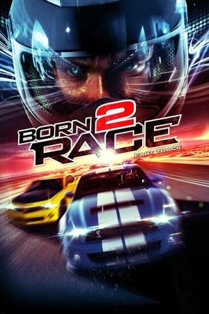 Born to Race Fast Track 2014 Hindi Dual Audio 320MB HD Poster Download - filmyfly