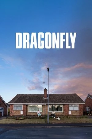 Dragonfly 2025 English Hindi Dual Audio HD Poster Download - filmyfly