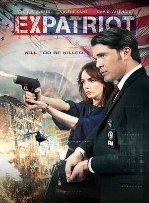 ExPatriot 2017 Hindi Dual Audio [870MB] HD Poster Download - filmyfly