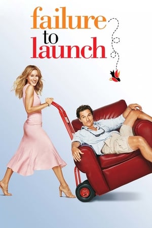 Failure to Launch 2006 Hindi Dual Audio [850MB] HD Poster Download - filmyfly