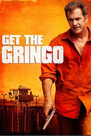 Get the Gringo (2012) Hindi Dual Audio [850MB] HD Poster Download - filmyfly
