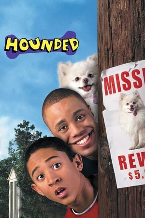 Hounded 2001 Hindi Dual Audio 310MB HD Poster Download - filmyfly