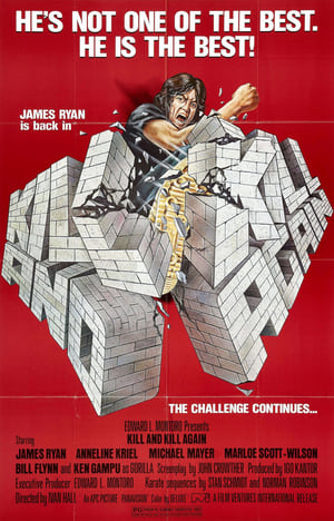 Kill and Kill Again (1981) Hindi Dual Audio 330MB HD Poster Download - filmyfly