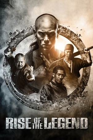 Rise of the Legend 2014 Hindi Dual Audio 440MB HD Poster Download - filmyfly