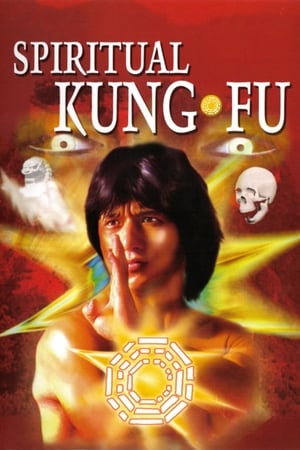 Spiritual Kung Fu 1978 Dual Audio Hindi 320MB HD Poster Download - filmyfly